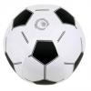 Pelota de Playa